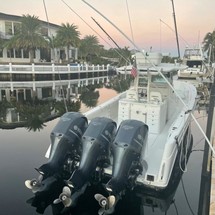 Everglades 350 cc