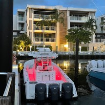 Everglades 350 cc