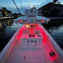 Everglades 350 cc