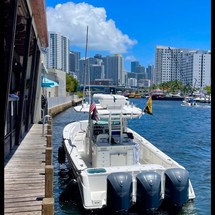 Everglades 350 cc