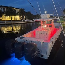 Everglades 350 cc