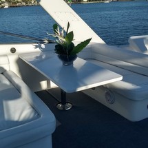 Cary sportfish express