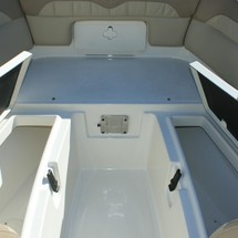 Sailfish 245 DC