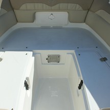 Sailfish 245 DC