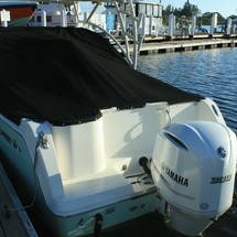Sailfish 245 DC