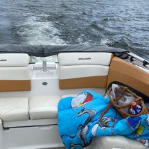 Sea-doo 180 challenger se