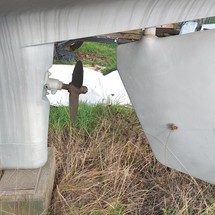 Westerly Marine windrush 25