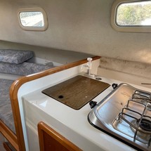 Orkney orkadian 20