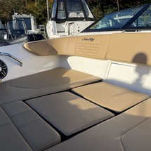 Sea Ray 190 Sport