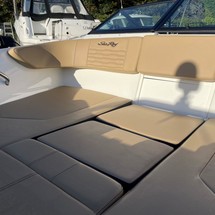 Sea Ray 190 Sport