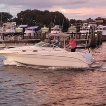 Sea Ray 260 Sundancer