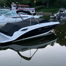 Sea Ray 250 SDX