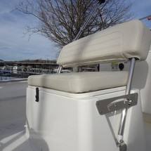 Boston Whaler 170 Montauk