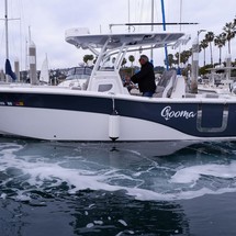 Sea Fox 288 Commander