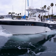 Sea Fox 288 Commander