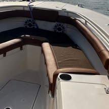 Scout Boats 320 LXF