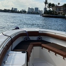 Scout Boats 320 LXF