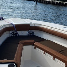 Scout Boats 320 LXF
