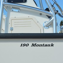Boston Whaler 190 Montauk