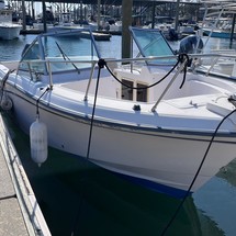 Grady-White Freedom 225