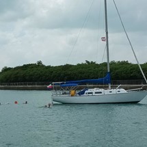 Pearson 35