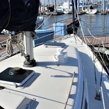 Pearson 303