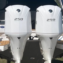 Regal 29 OBX