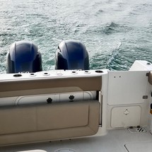 Sailfish 275 DC