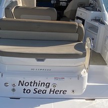 Regal 30 Express