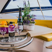 Sessa C 42