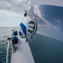 Sessa C 42