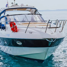Sessa C 42