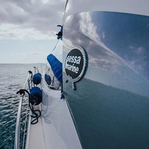 Sessa C 42