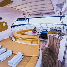 Sessa C 42