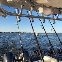 Sailfish 270 CC