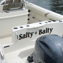 Sailfish 270 CC