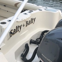 Sailfish 270 CC
