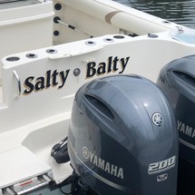 Sailfish 270 CC