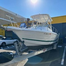 Pro-line 24 walkaround cuddy