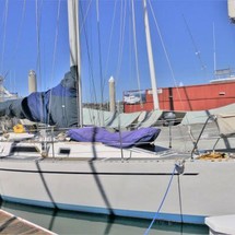 Nordic Tug 40