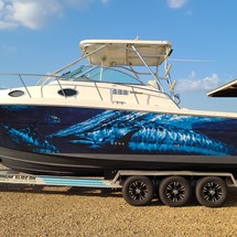 Wellcraft 290 Coastal