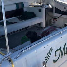 Sea Ray 370 Sundancer