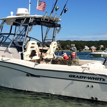 Grady-White Journey 258
