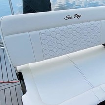 Sea Ray SDX 250 OB