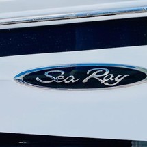 Sea Ray SDX 250 OB