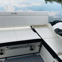 Sea Ray SDX 250 OB