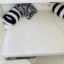 Sea Ray SDX 250 OB