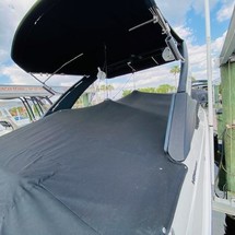 Sea Ray SDX 250 OB