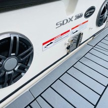 Sea Ray SDX 250 OB
