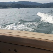 Sea Ray SPX 230